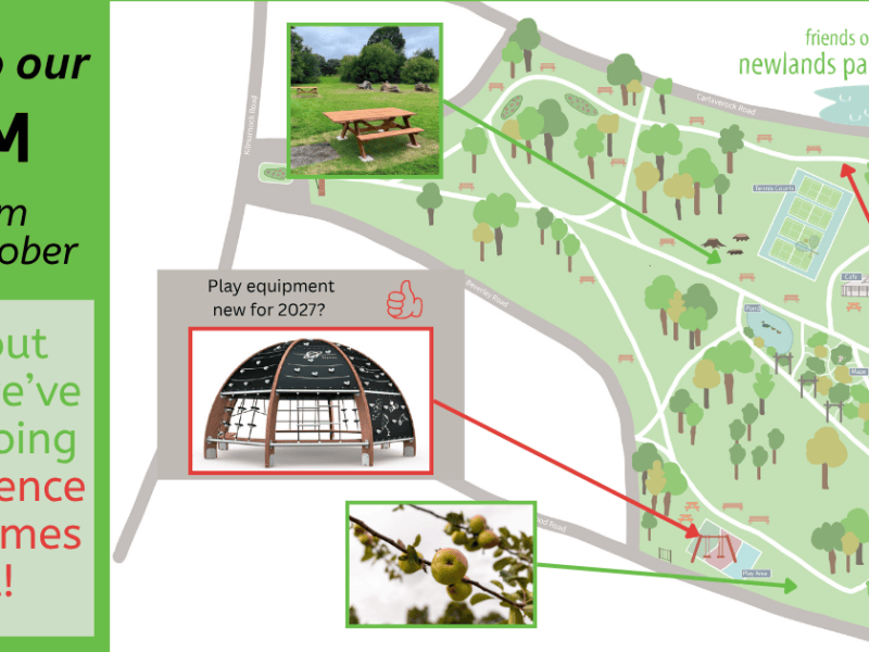 October newsletter: what’s next for Newlands&nbsp;Park?